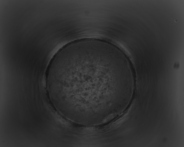 X0000093100883200710031456