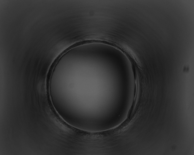 X0000093100884200710031456