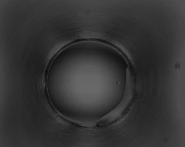 X0000093100885200710031456