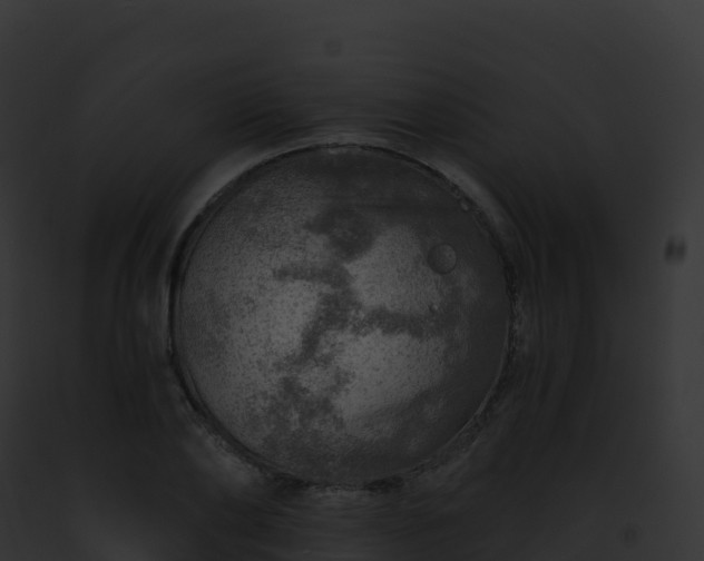 X0000093100886200710031456