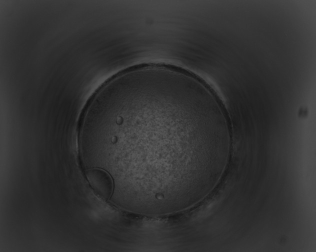 X0000093100887200710031456