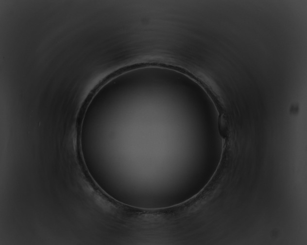 X0000093100888200710031456