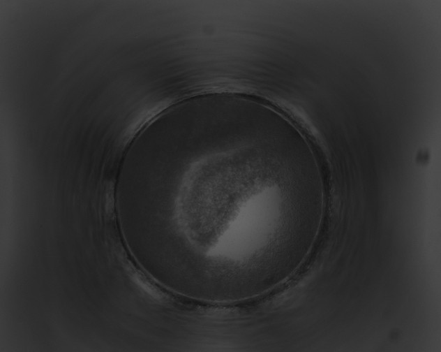 X0000093100889200710031456
