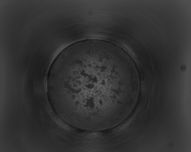 X0000093100891200710031456