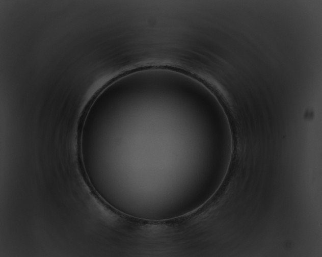 X0000093100894200710031456