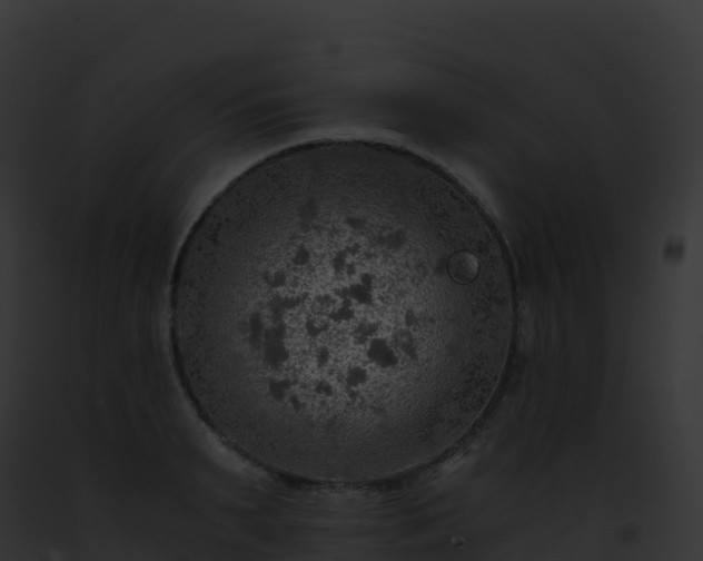 X0000093100895200710031456