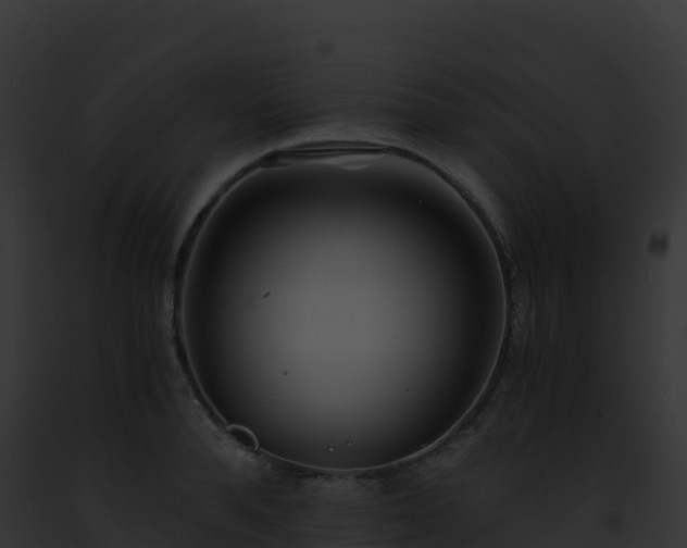 X0000093100896200710031456