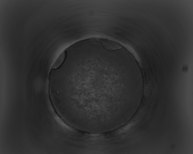X0000093100903200710031456