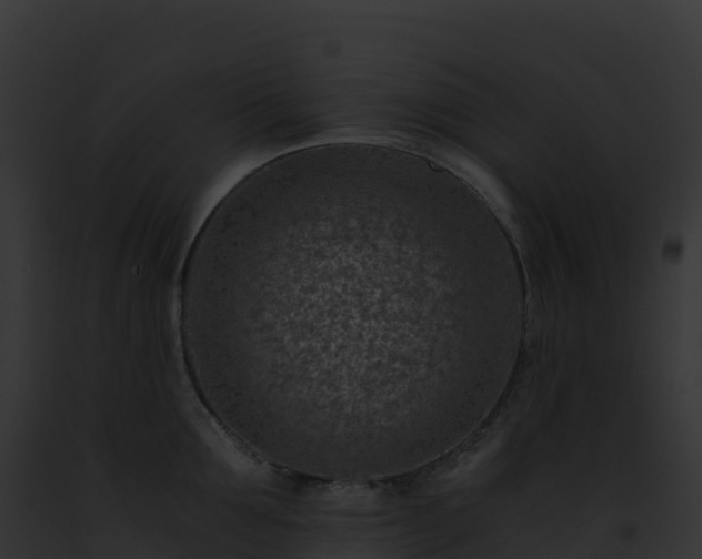 X0000093100907200710031456