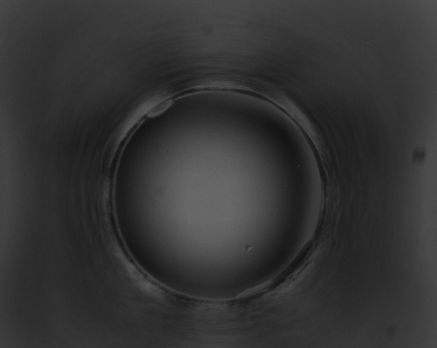 X0000093100909200710031456