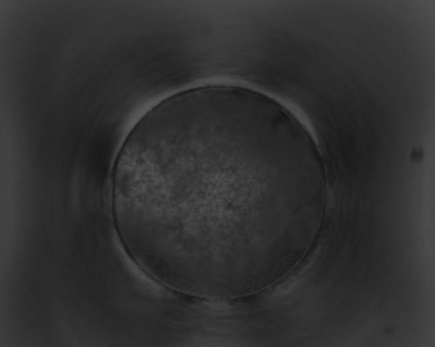 X0000093100911200710031456