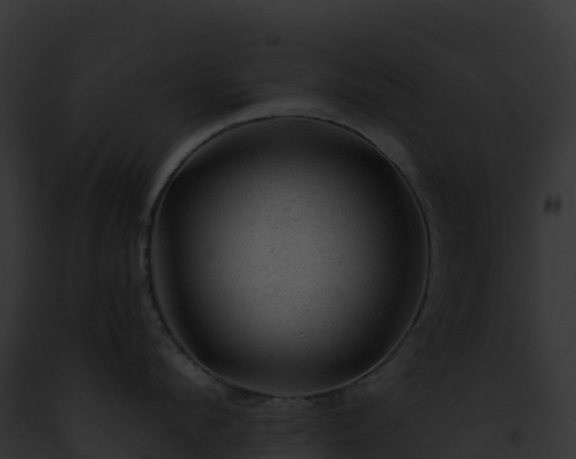 X0000093100912200710031456