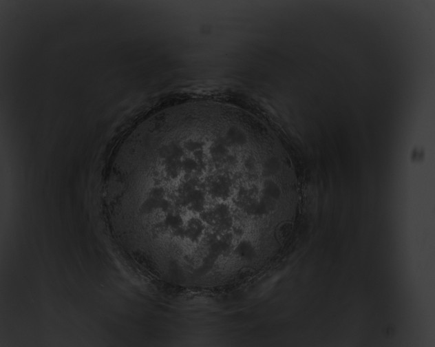 X0000093100913200710031455