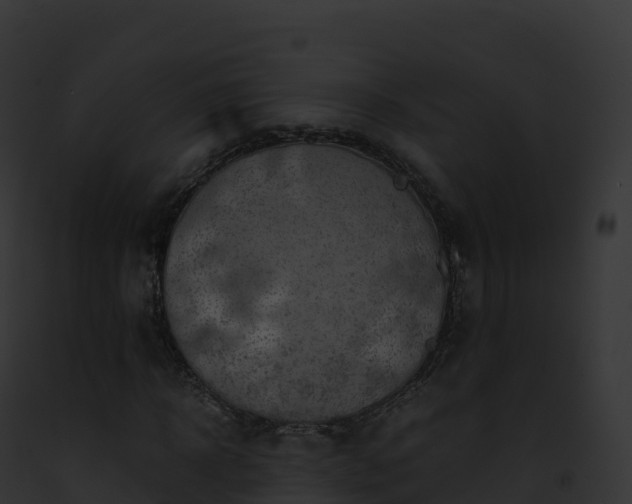 X0000093100918200710031455