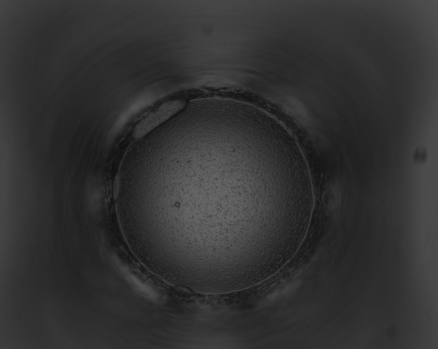 X0000093100920200710031456