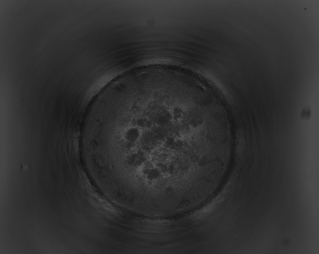X0000093100921200710031456