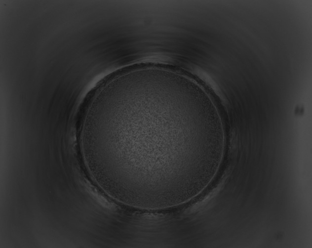 X0000093100923200710031456