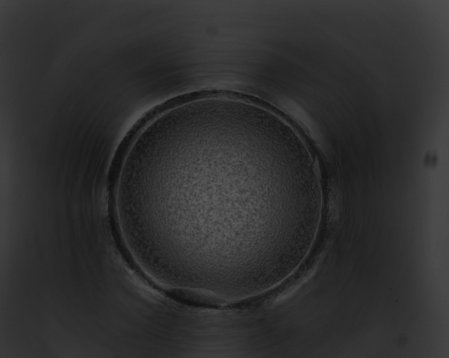 X0000093100924200710031456