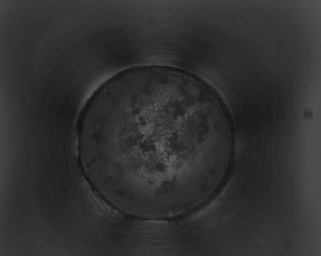 X0000093100925200710031456