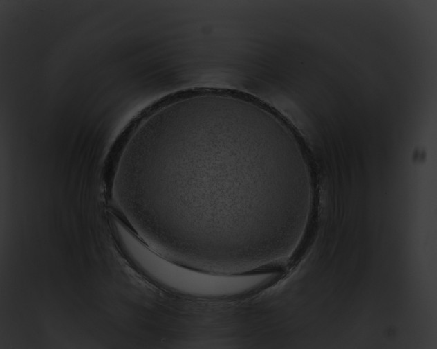X0000093100926200710031456