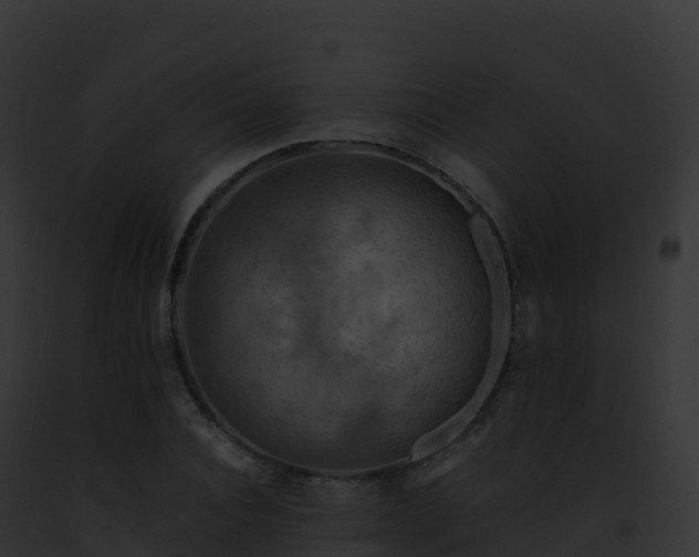 X0000093100928200710031456