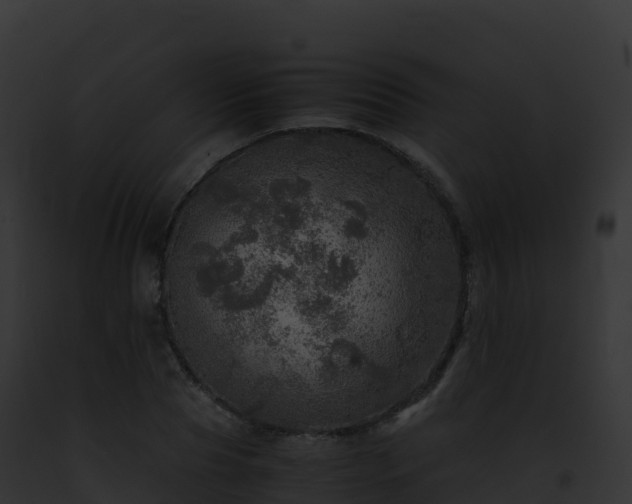 X0000093100929200710031456