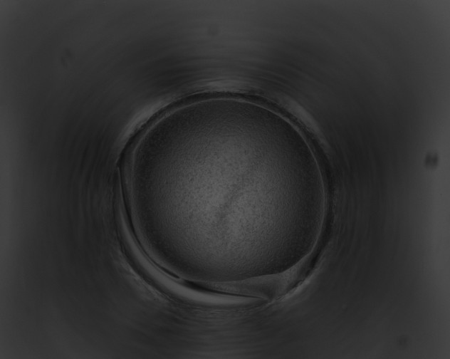 X0000093100930200710031456