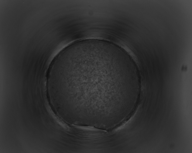 X0000093100933200710031456