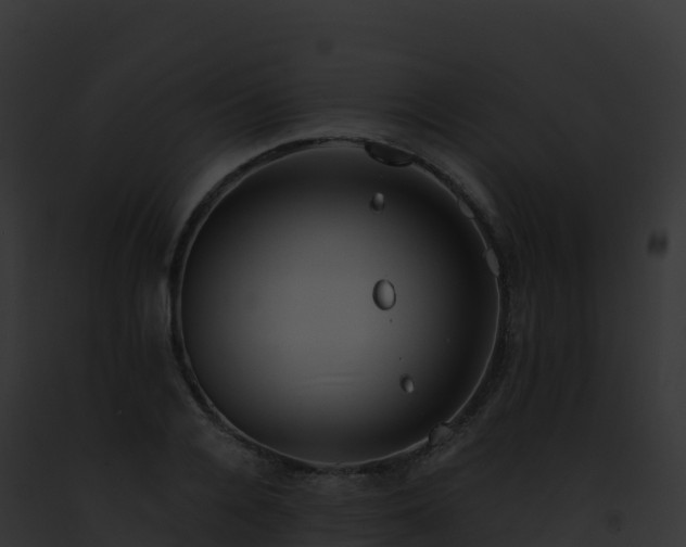 X0000093100936200710031456