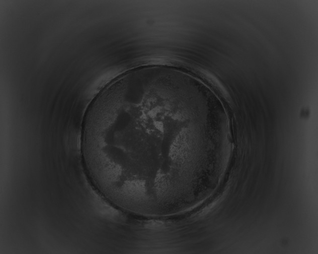 X0000093100938200710031456