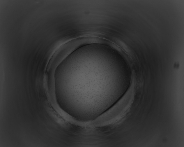 X0000093100940200710031456