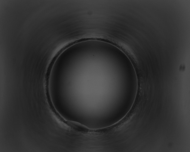 X0000093100942200710031456