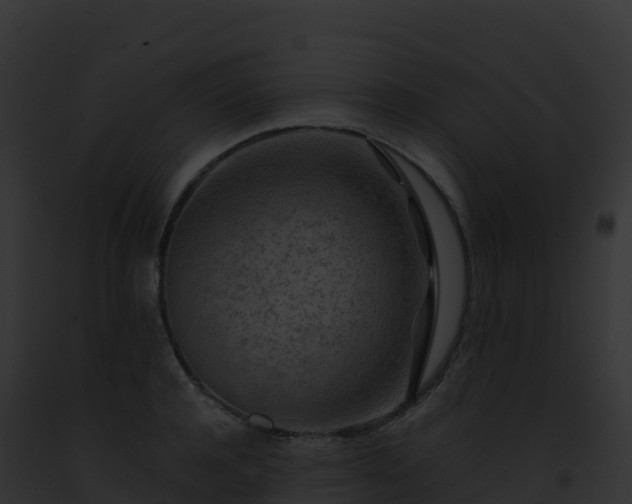 X0000093100944200710031456