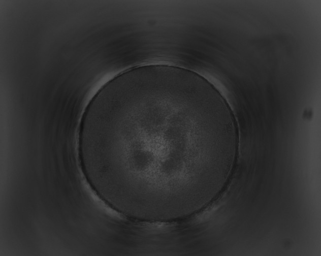 X0000093100949200710031456