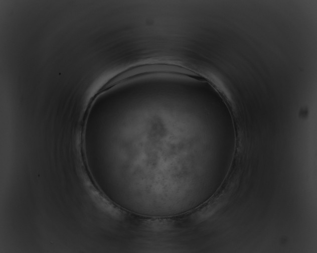X0000093100952200710031456