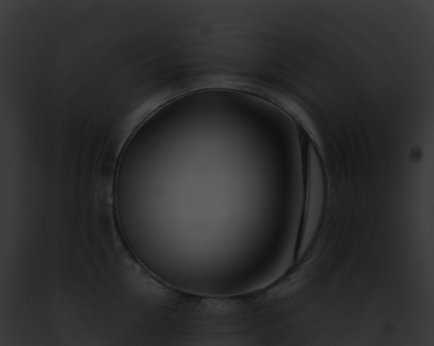 X0000093100954200710031456