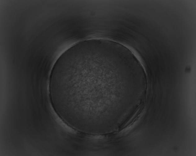 X0000093100957200710031456