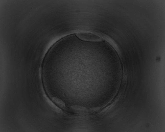 X0000093100958200710031456