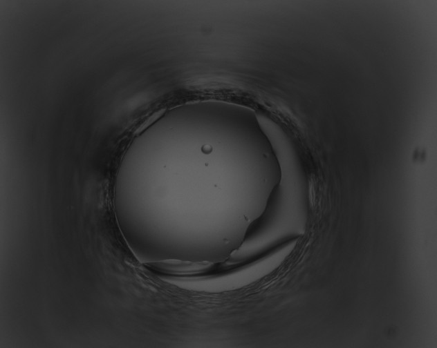 X0000093100965200710031455