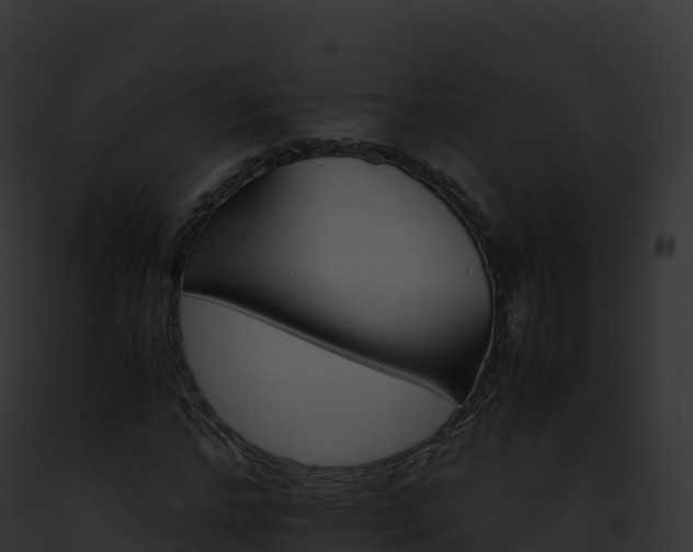 X0000093100968200710031455