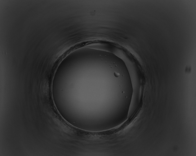 X0000093100969200710031455