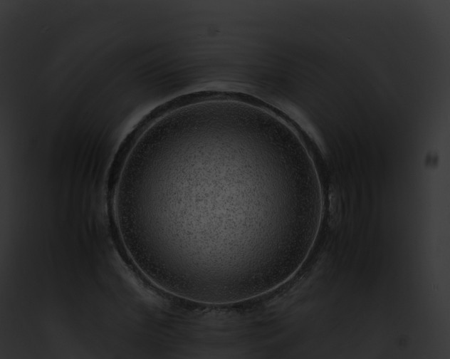 X0000093100972200710031455