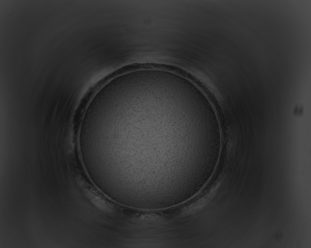 X0000093100974200710031455