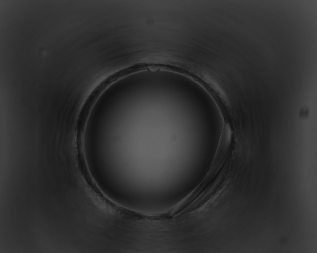 X0000093100976200710031455