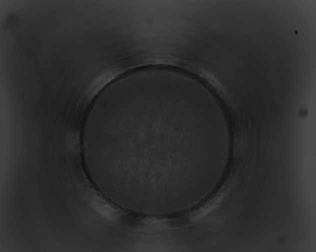 X0000093100977200710031455