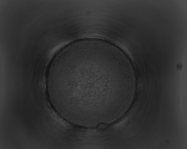 X0000093100979200710031455