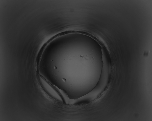 X0000093100981200710031455
