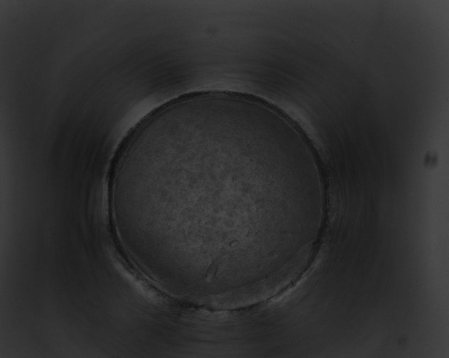 X0000093100982200710031455