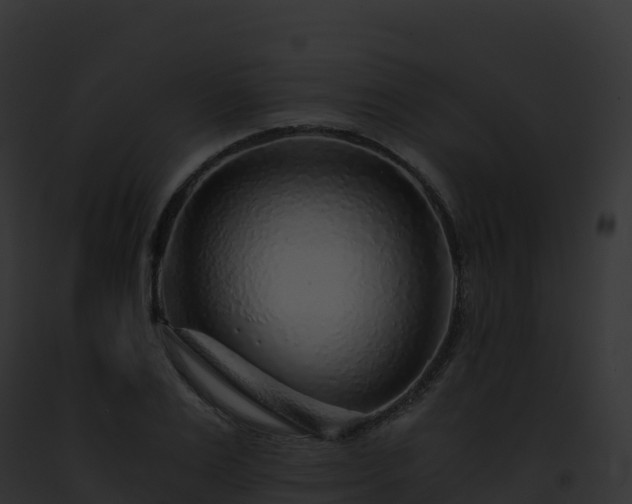 X0000093100983200710031455