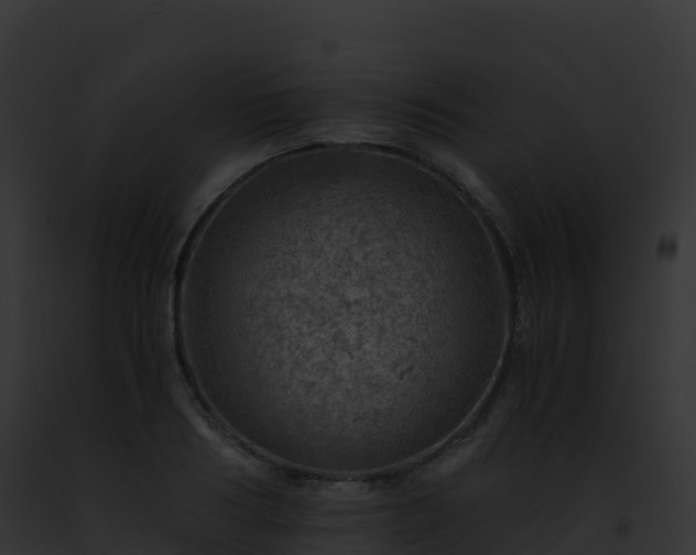 X0000093100986200710031455